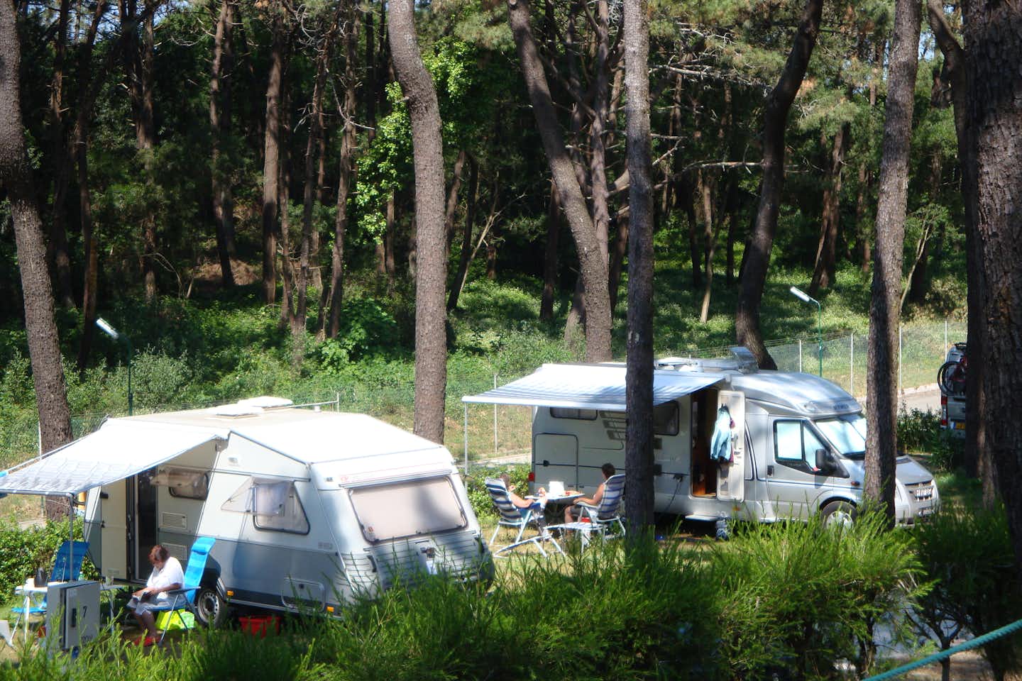 Camping ORBITUR Viana do Castelo  -  Wohnwagen- und Zeltstellplatz unter Bäumen auf dem Campingplatz