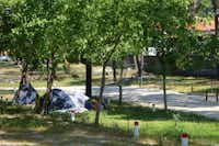 Camping ORBITUR Viana do Castelo  -  Zeltstellplatz unter Bäumen auf dem Campingplatz