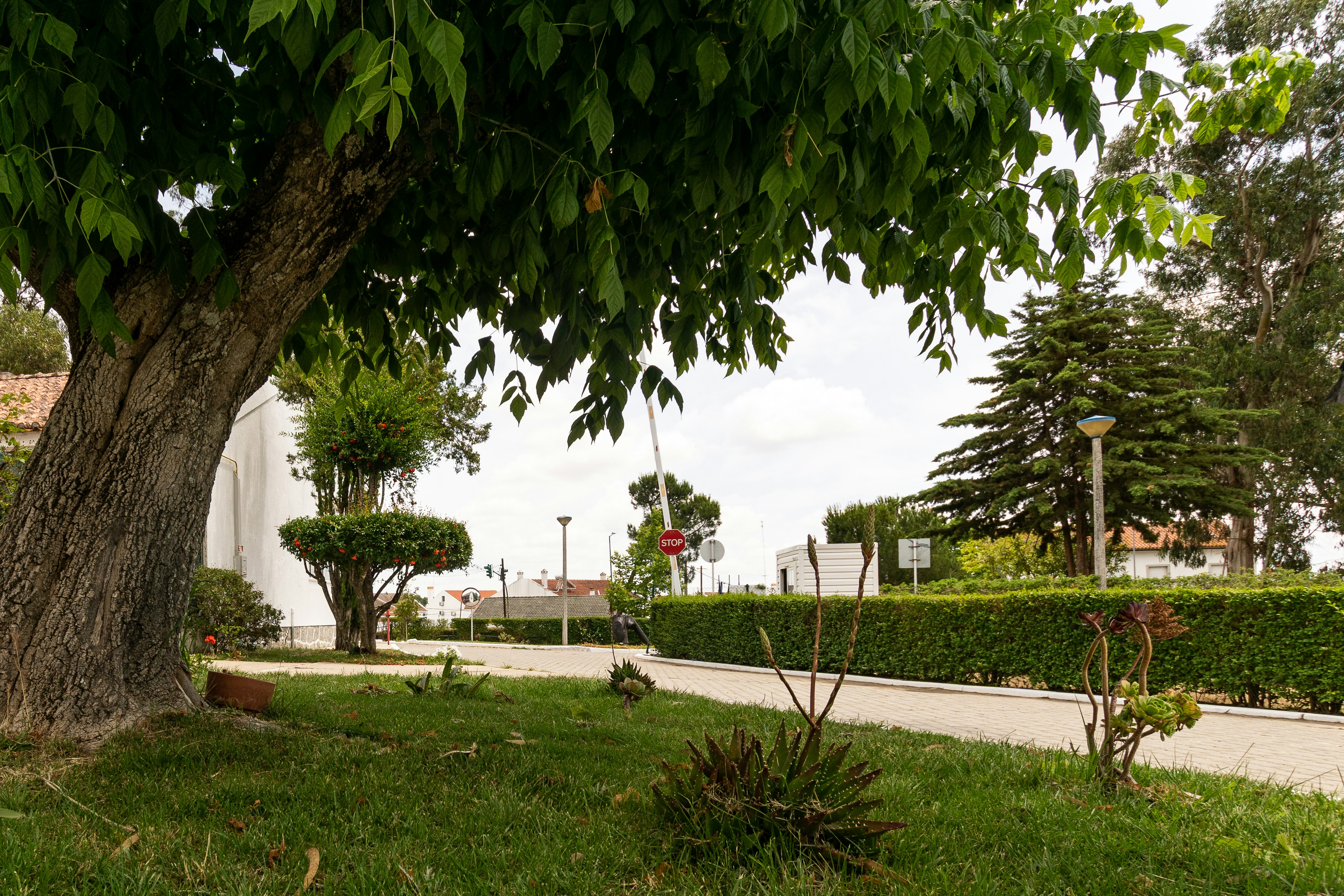 Camping ORBITUR Évora - Einfahrt des Campingplatzes