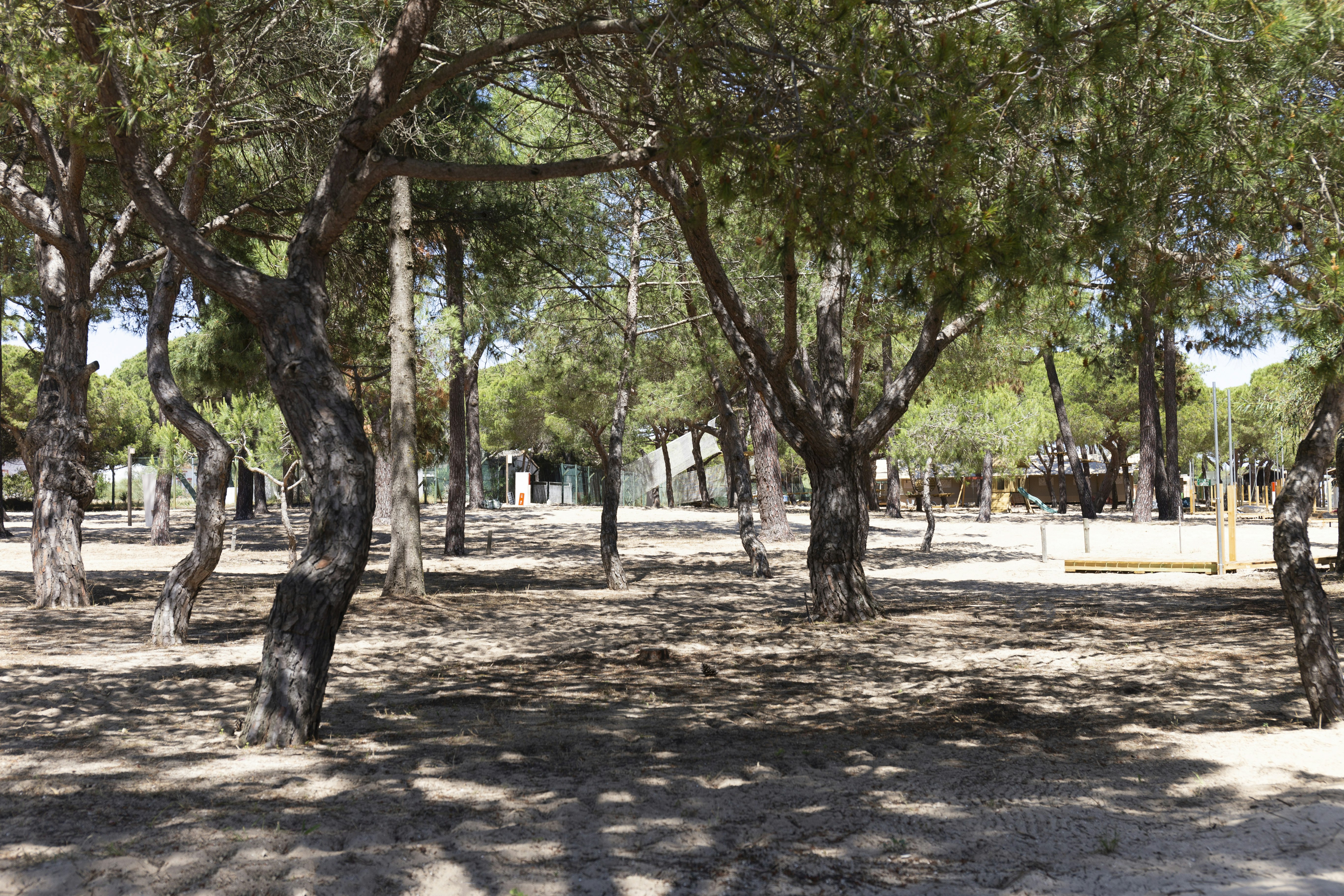 Bedroom accommodation at Orla Ilha De Tavira Ecoglamping in Tavira