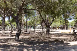 Schattenreicher Campingplatz mit schmalem Weg zwischen Bäumen, im Hintergrund Zäune und ein paar Stellplätze.