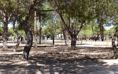 Orla Ilha de Tavira Ecoglamping
