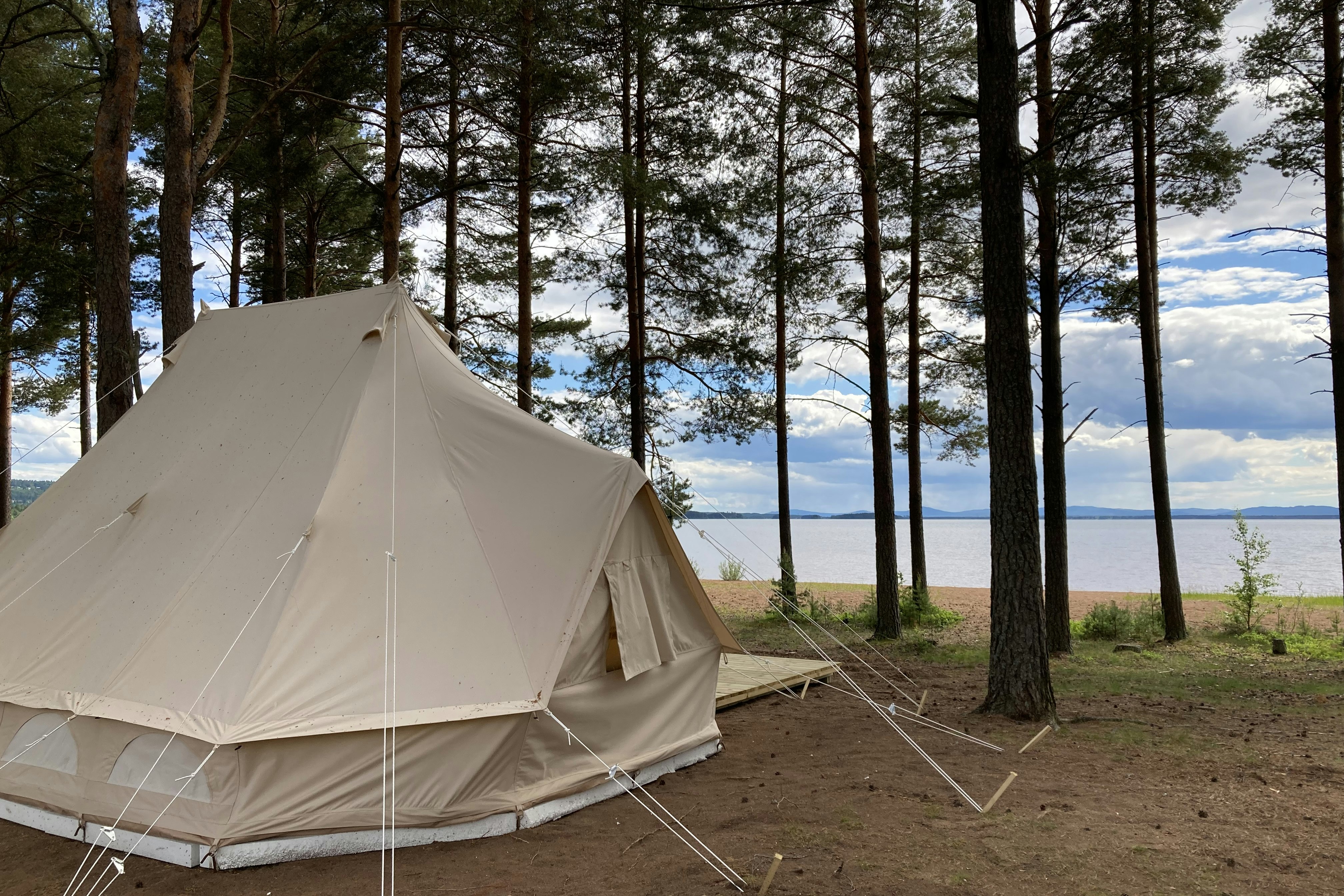 Zelt auf einem Campingplatz am Waldrand, mit Seeblick durch die Bäume und einem Weg am Boden.
