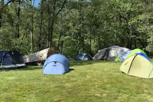 Ostello Camping Riposo - Blick auf die Standplätze auf der Wiese