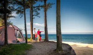 Ostseecamp Rostocker Heide - Zeltplatz im Schatten unter Bäumen direkt am Ostseestrand