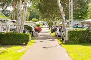 Campingplatz-Allee mit Wohnwagen und Zelten, geparkten Autos und Blumenbeeten zwischen hohen Bäumen.