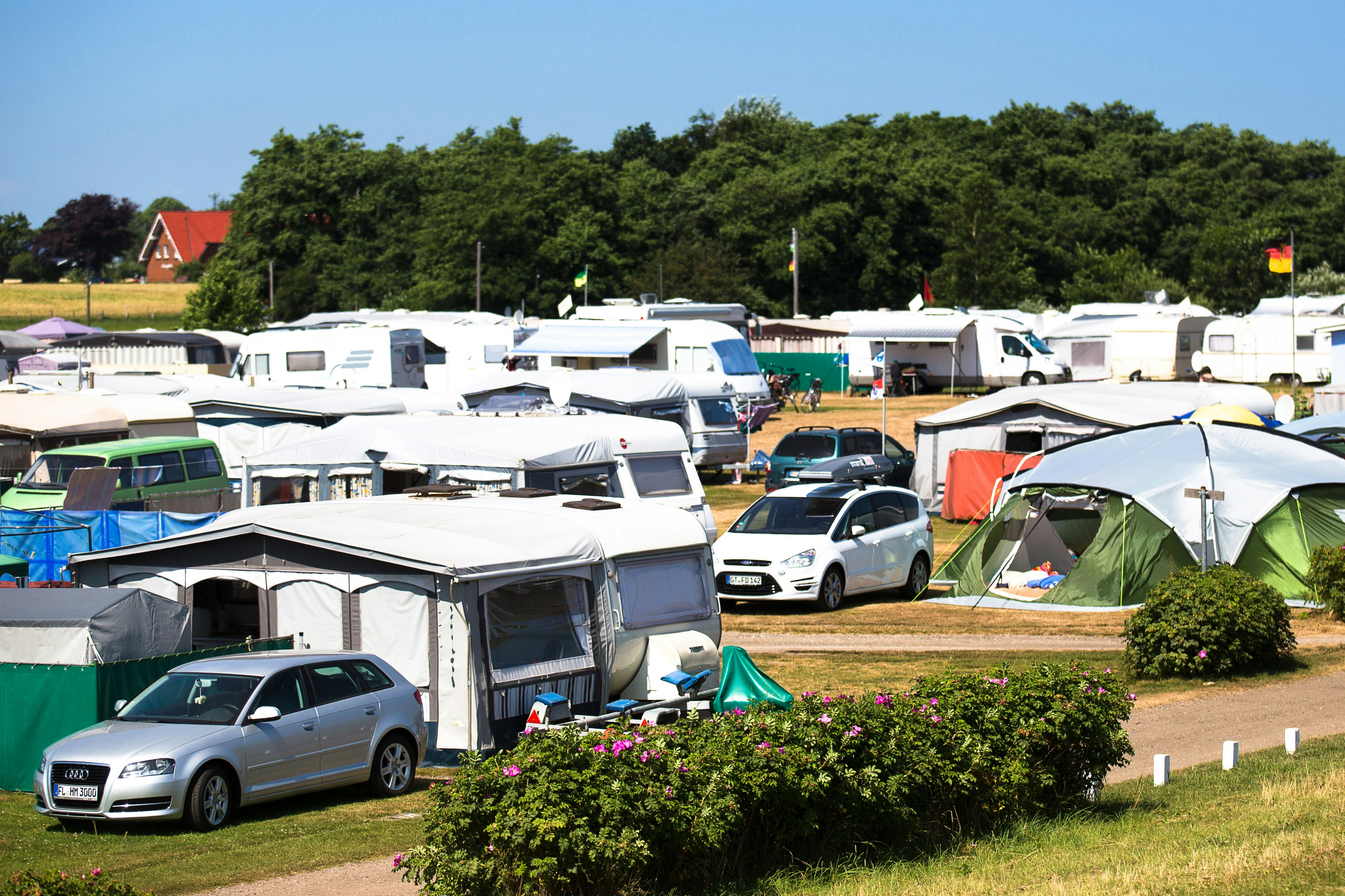 Ostseecamping Gut Oehe - Sonniger Zeltplatz auf dem Campingplatz