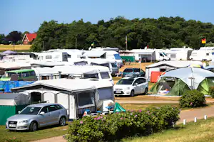 Ostseecamping Gut Oehe - Sonniger Zeltplatz auf dem Campingplatz