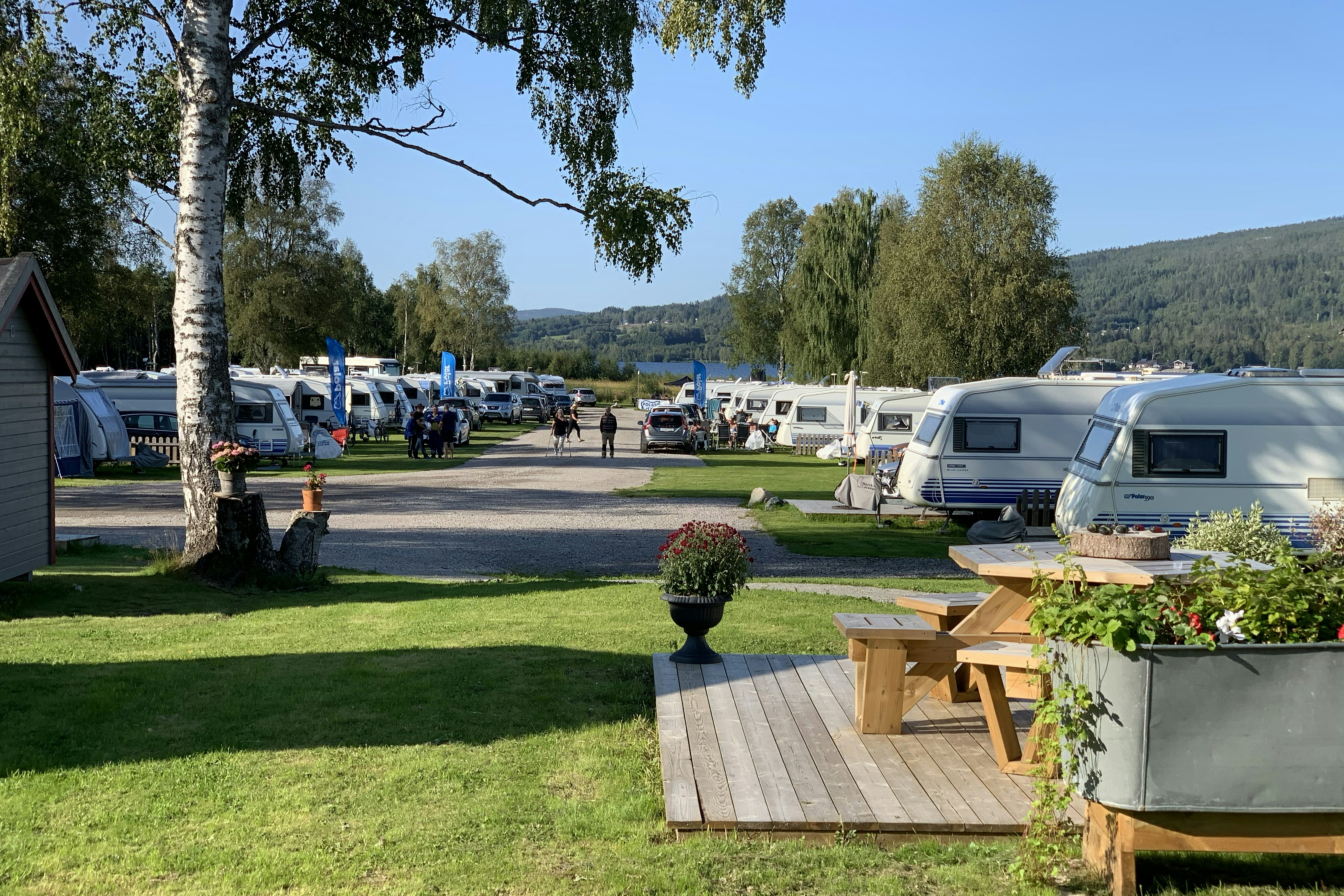 Överhörnäs Camping - Blick auf die Stellplätze auf dem Campingplatz