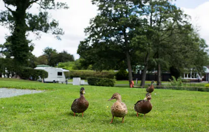 Oxon Hall Touring Park