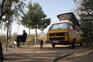Panorama Camping - Camper mit Hund auf dem Wohnwagenstellplatz und Wohnmobilstellplatz vom Campingplatz
