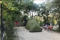 Panorama Camping  -  Stellplatz vom Campingplatz im Grünen