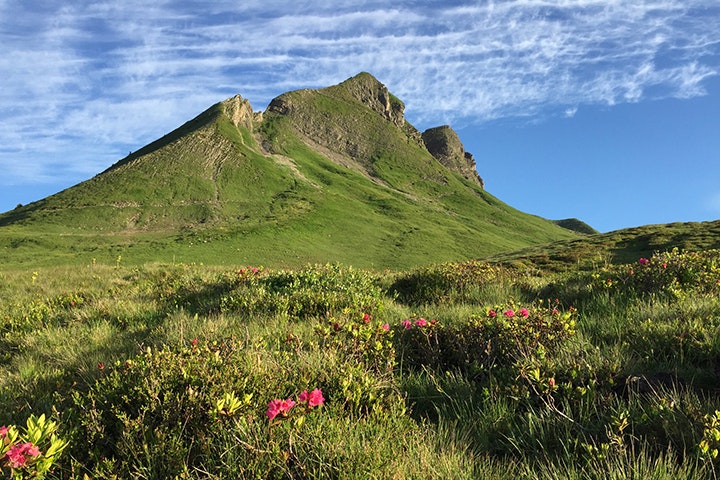 Panorama Camping Sonnenberg - Damülser Mittagsspitze  in der Nähe des Campingplatzes