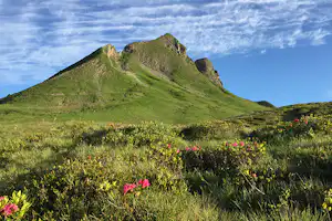 Panorama Camping Sonnenberg - Damülser Mittagsspitze in der Nähe des Campingplatzes