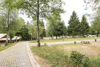 Arden Parks Petite Suisse