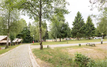 Arden Parks Petite Suisse