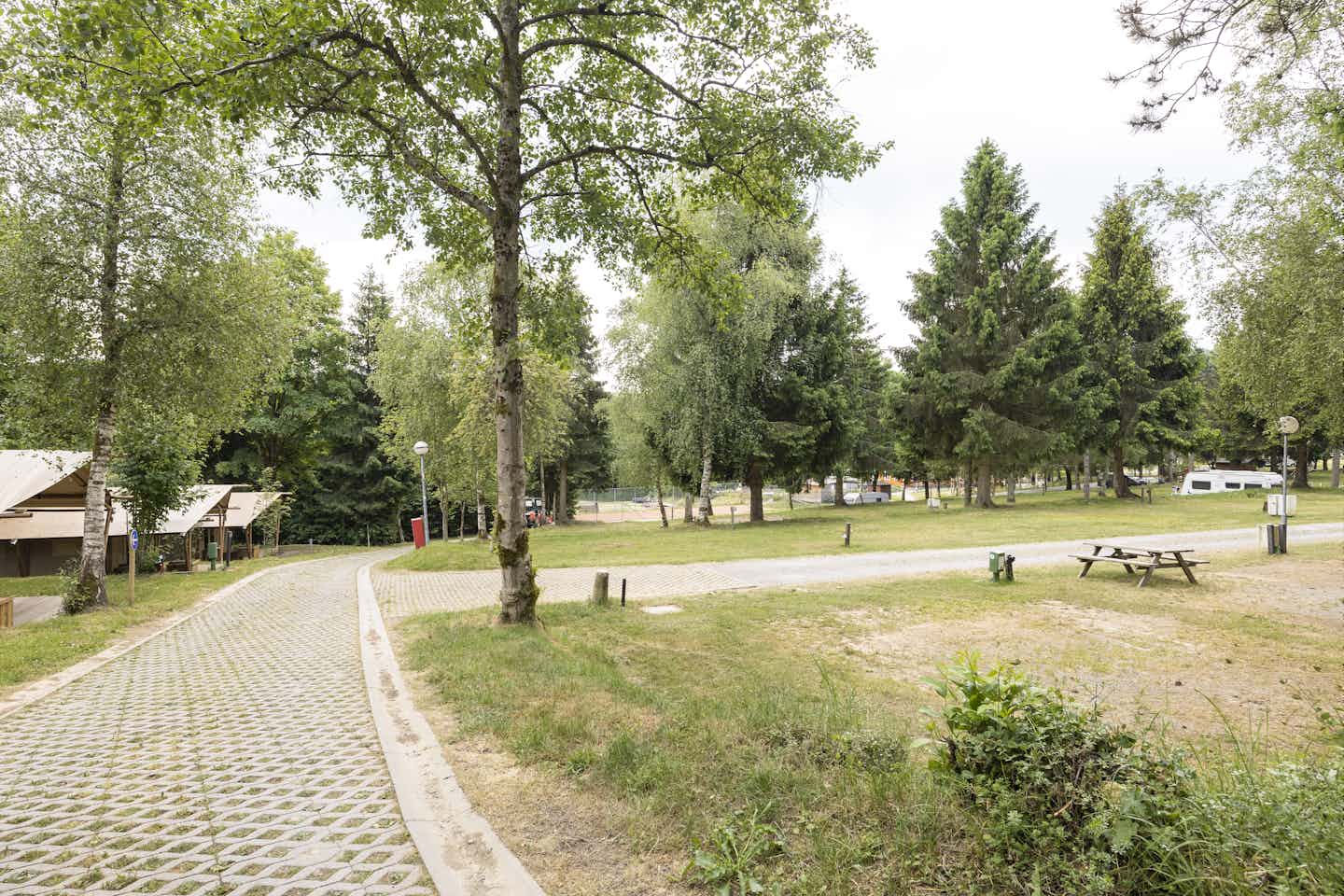 Arden Parks Petite Suisse