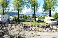 Panoramacamping Stadtblick  -  Wohnwagen- und Zeltstellplatz zwischen Bäumen auf dem Campingplatz