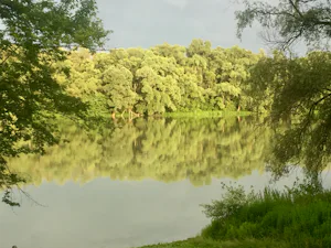 Pap-Sziget Camping