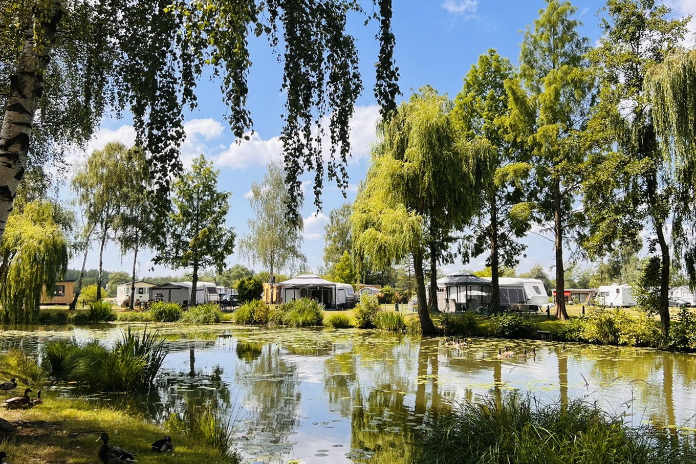 Papillon Kinrooi - Stellplätze am Ufer des Teiches