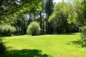 Grüner Rasen mit Schatten von Bäumen, umgeben von dichtem Wald und Hecken auf einem Campingplatz.