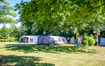 ParcCamping de Witte Vennen