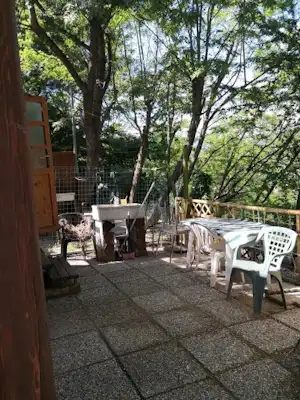 299579929.jpg
