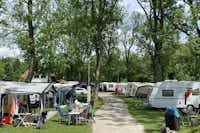 Park-Camping Iller - Stellplätze im Schatten der Bäume