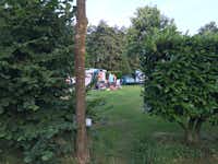 Park Camping Mooi Delden