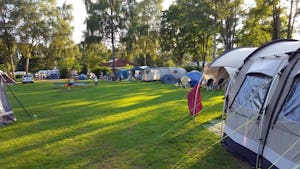 Park Camping Mooi Delden