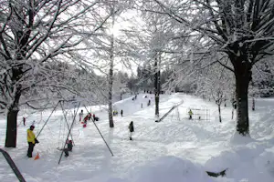 Winterlicher Waldweg mit Schnee, Skilift und mehreren Personen auf der Piste zwischen verschneiten Bäumen.