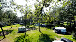 Park Drentheland