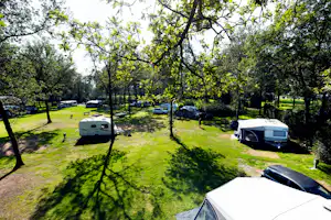 Campingplatz mit Wohnmobilen auf einer grünen Wiese, umgeben von Bäumen und mehreren Stellplätzen.