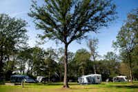 Park Drentheland - Wohnmobil- und  Wohnwagenstellplätze im Schatten der Bäume