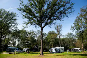 Park Drentheland - Wohnmobil- und Wohnwagenstellplätze im Schatten der Bäume