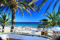 Park Playa Barà  - Blick vom Campingplatz auf den Strand am Mittelmeer