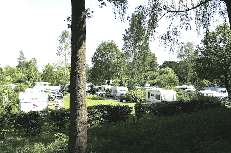 Parkcamping De Graafschap  -  Wohnwagen und Wohnmobile auf dem Stellplatz vom Campingplatz zwischen Bäumen