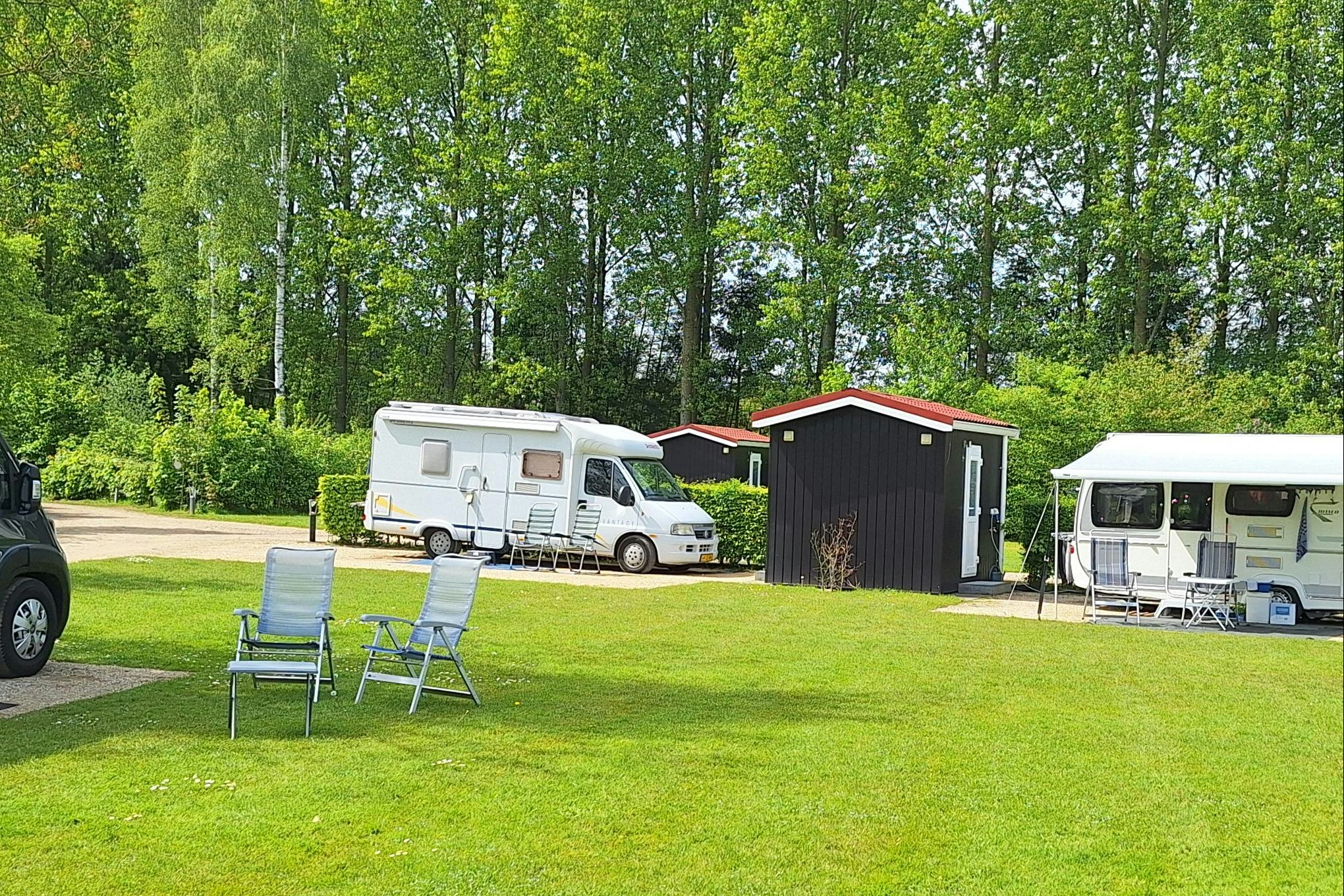 Parkcamping De Graafschap - Blick auf die Standplätze auf der Wiese