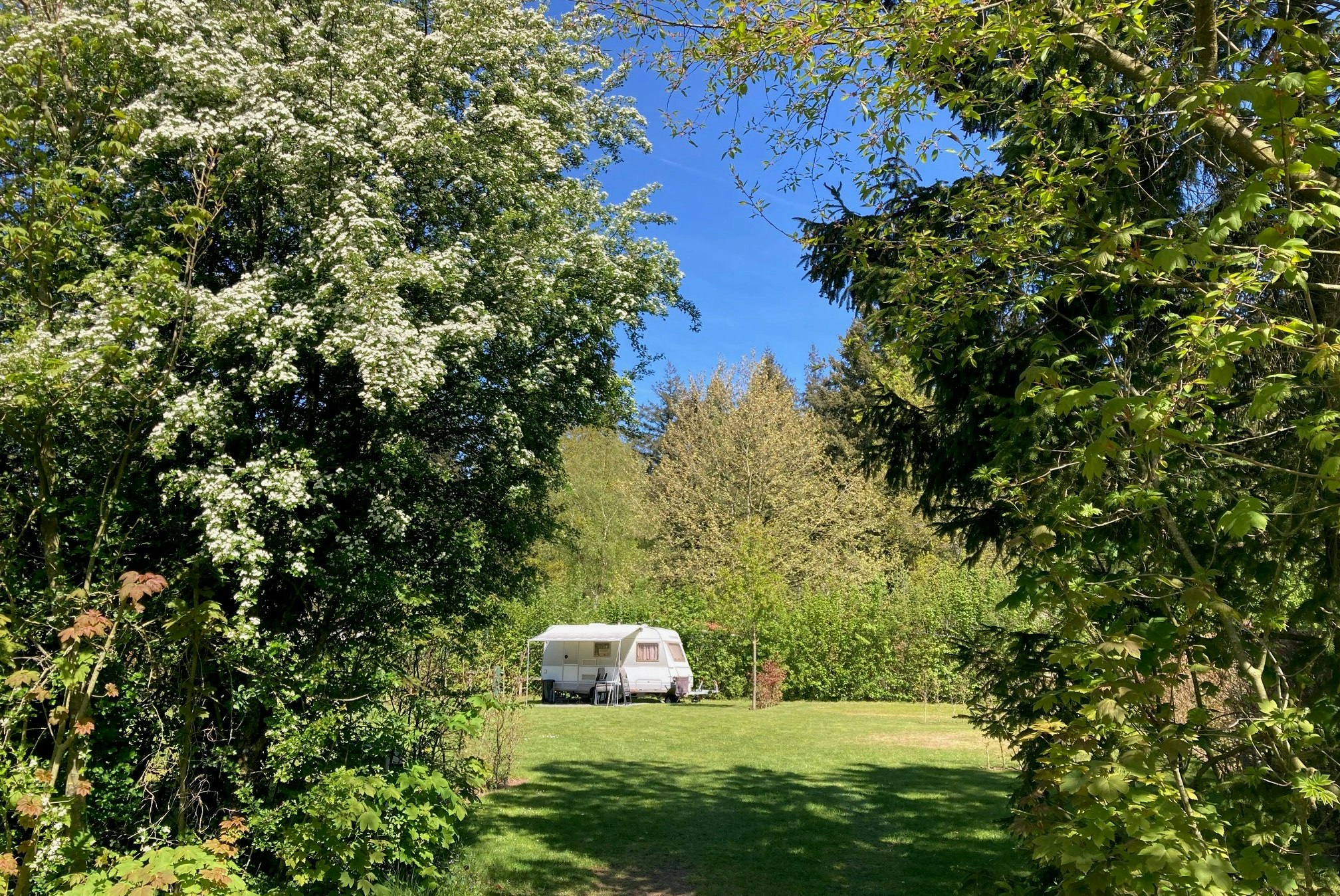 Wohnwagen auf einem grünen Campingplatz im Garten, umgeben von Bäumen und Sträuchern vor blauem Himmel.