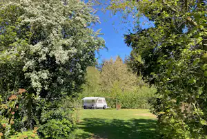 Wohnwagen auf einem grünen Campingplatz im Garten, umgeben von Bäumen und Sträuchern vor blauem Himmel.