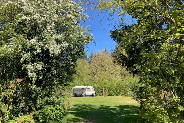 Parkcamping 't Ravenest