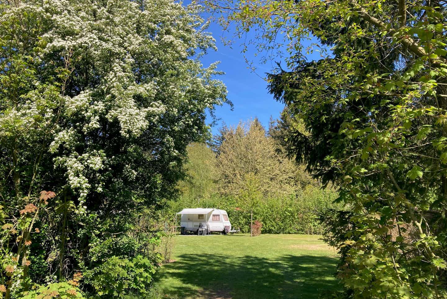 Parkcamping 't Ravenest