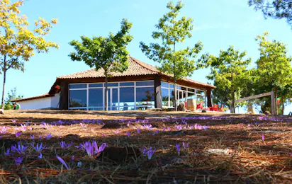 Parque Campismo Penedones