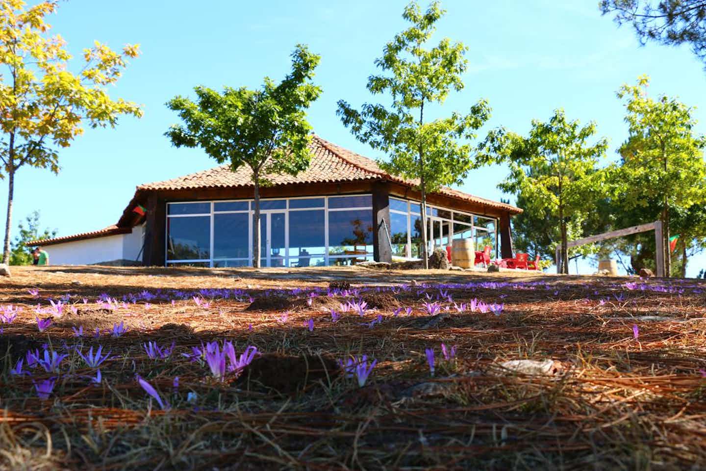 Parque Campismo Penedones