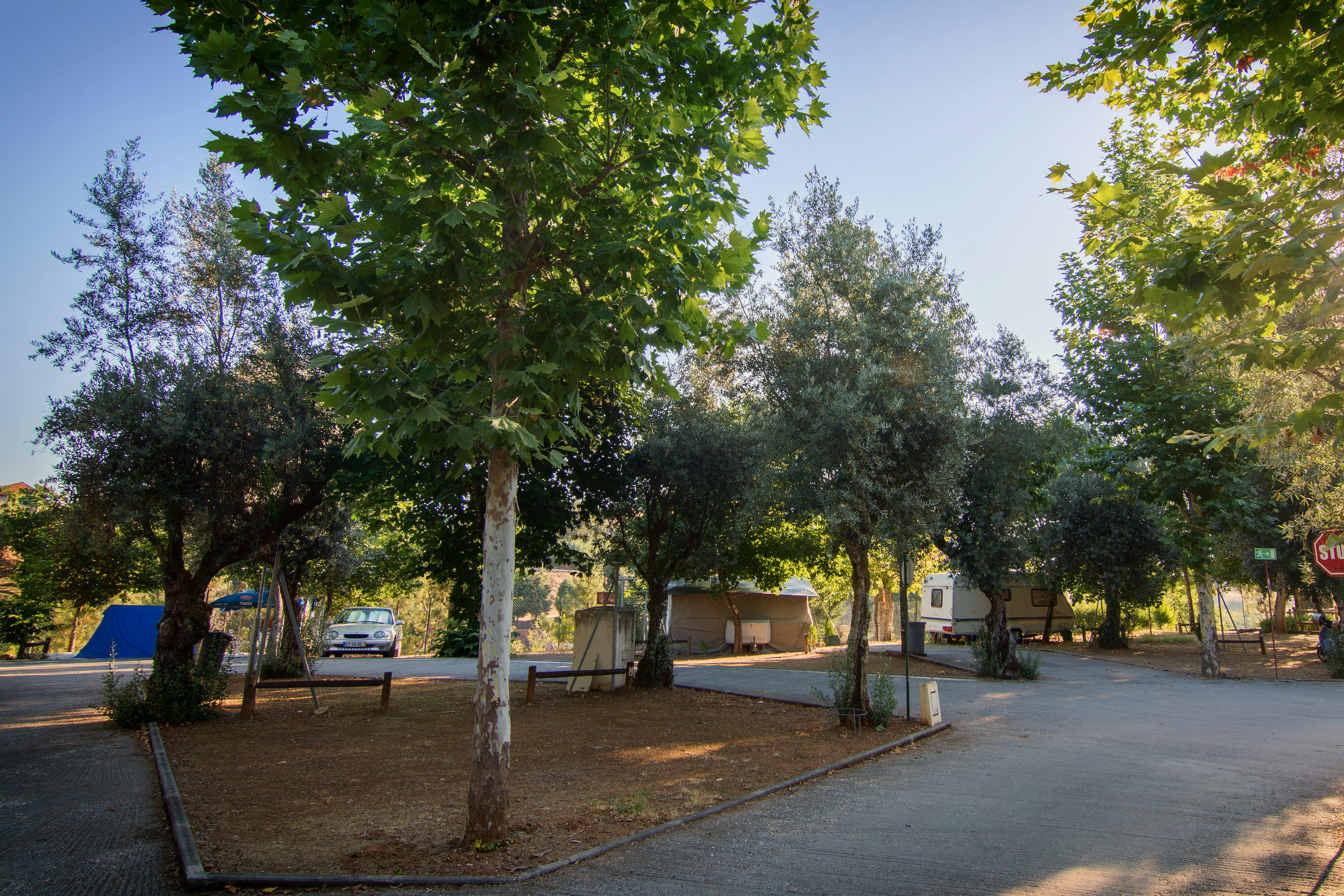 Parque de Campismo Côja -  Wohnwagen- und Zeltstellplatz im Grünen