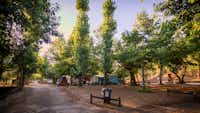 Parque de Campismo Côja - Blick auf den Wohnwagen- und Zeltstellplatz zwischen Bäumen