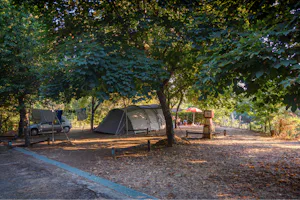 Parque de Campismo Côja - Zelt auf dem Stellplatz unter Bäumen