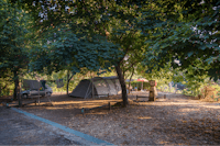 Parque de Campismo Côja - Zelt auf dem Stellplatz unter Bäumen