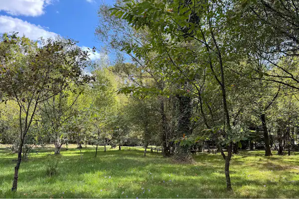 Parque Cerdeira