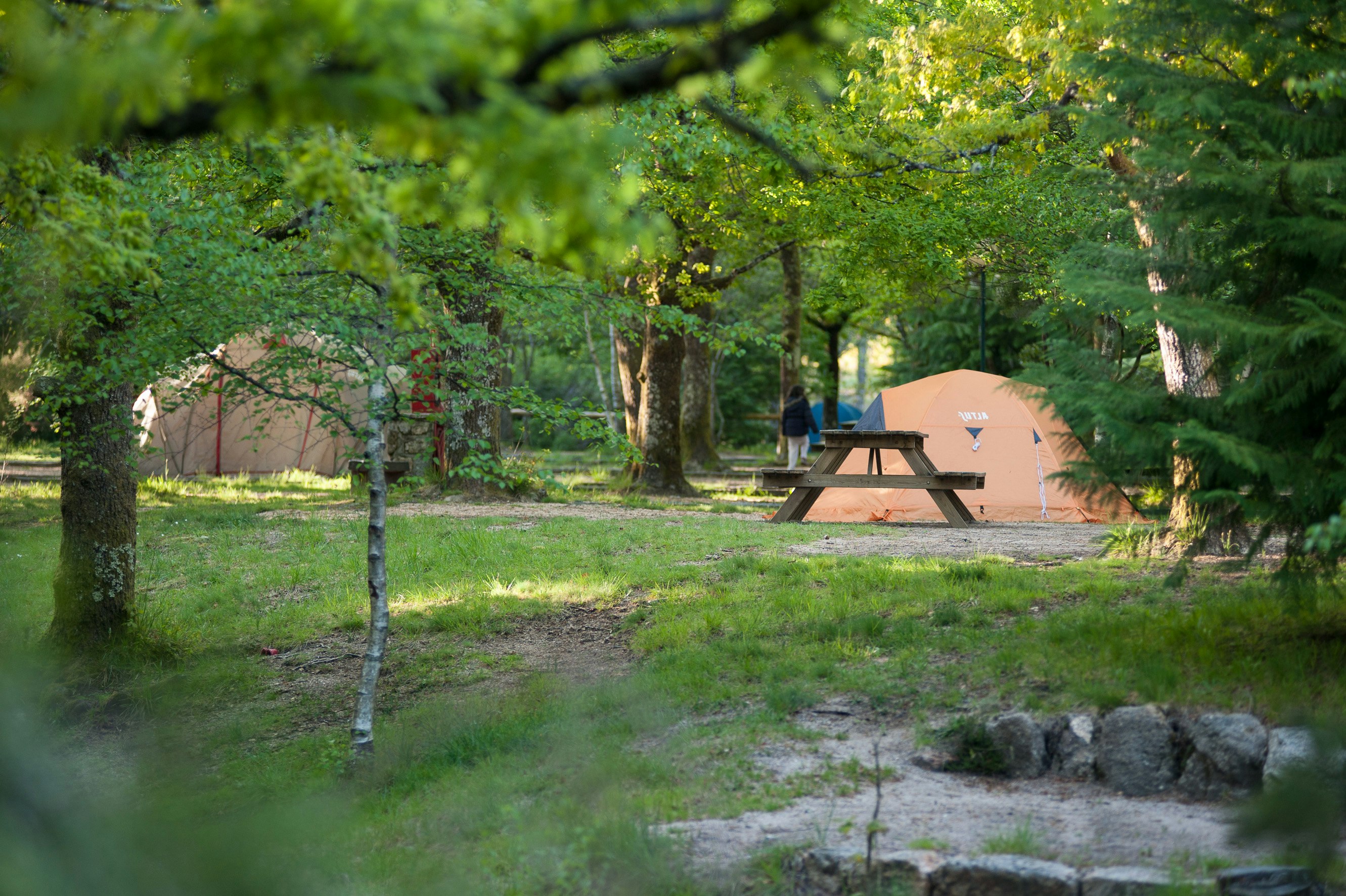 Parque Cerdeira  Parque de Campismo de Cerdeira - Zeltplätze im Grünen